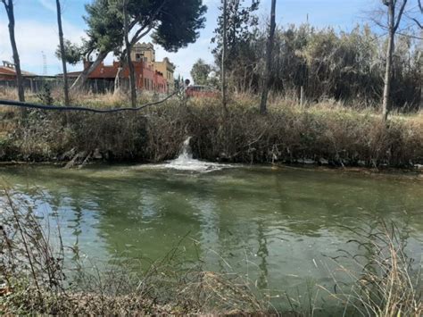 Retiran Alrededor De Kilos De Basura De Las Aguas Del Clot De La