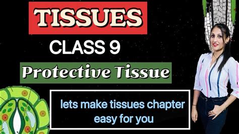 Tissue Class 9 Protective Tissues Class 9 Knowledge Duniya Youtube