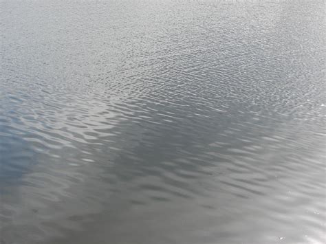 Pond Water Texture By Fantasystock On Deviantart