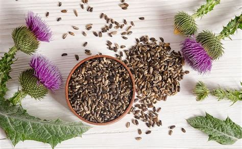 Milk Thistle Seeds 250g – Liver Detox & Cleanse Support | 100% Pure ...