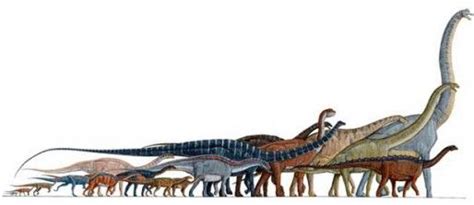 Sauropod Size Comparison