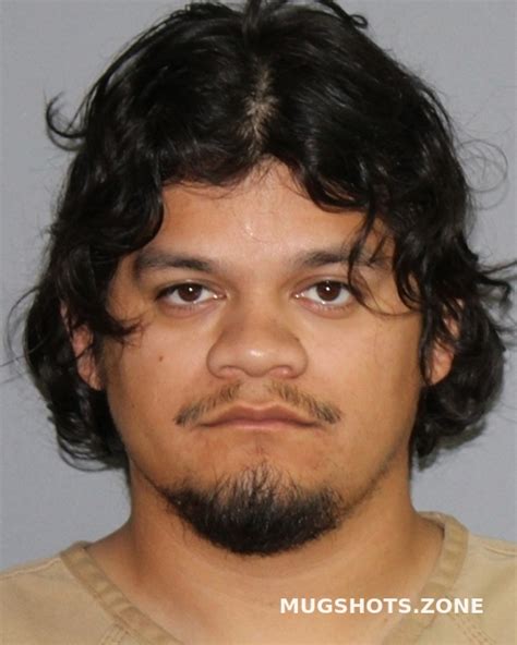 Castaneda Xavier David Palo Pinto County Mugshots Zone