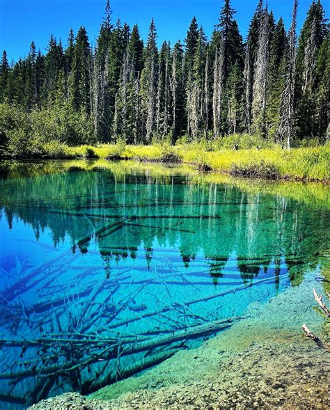 Little Crater Lake, Oregon : r/lakeporn