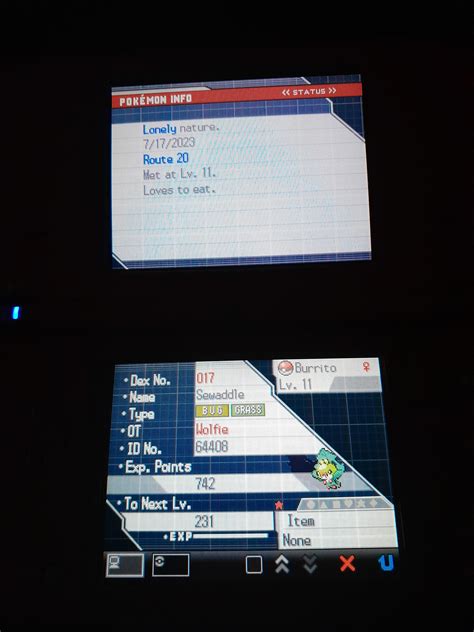 [Gen5] second shiny sewaddle after 4120 encounters. Phase 3 for either ...