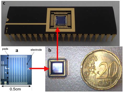 Gas sensing with carbon nanotubes