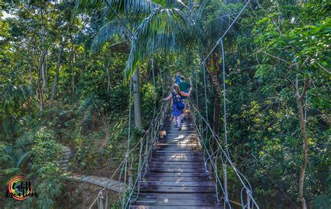 Shore Excursions on our Western Caribbean Family Cruise | Califf Life ...