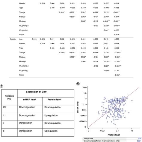 Spearman Correlations And Concordance Rates Of Chk In Gastric Cancer