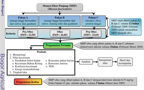 Materi Dan Metode Analisis Hematologi Nilai Kecernaan Dan Tingkah