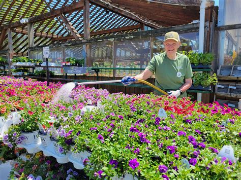Thriller, Filler & Spiller - Hyannis Country Garden