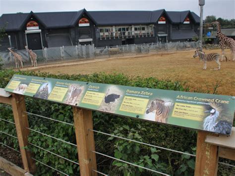 Colchester Zoo Signage By Category Animals Greater Kudu And Damara