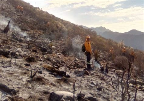 Incendio Forestal En Coahuila Consume Centenares De Hectáreas