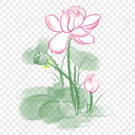 Hand Painted Summer Ink Chinese Lotus Png Free Material PNG Picture And