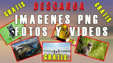 Las Mejores P Ginas Para Descargar Imagenes Gratis Youtube