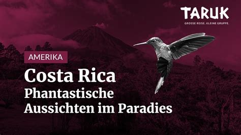 Costa Rica Reise Kolibri Aktive Vulkane karibische Strände