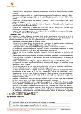 Guardas de Protección v 02 procedimiento pdf