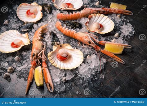 Seafood: Scallops Stock Image | CartoonDealer.com #4450621