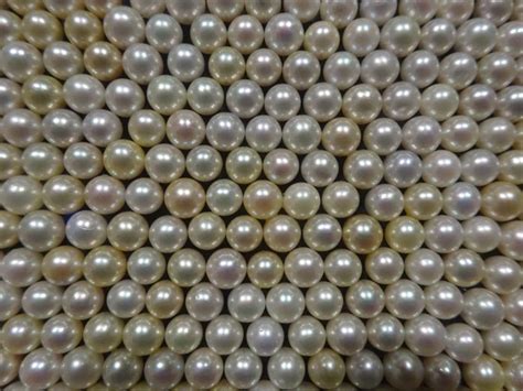 Mikimoto Pearl Island Is Learning Space Of Cultured Pearls The