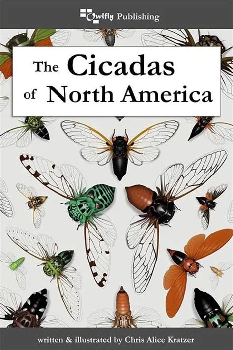 The Cicadas Of North America Veldshop Nl