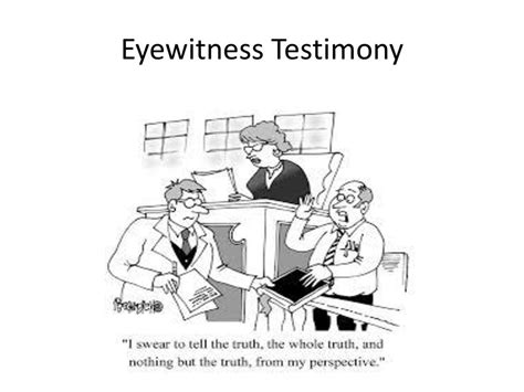 Lay Vs Expert Witness Ppt Download