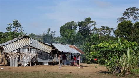 Más De 160 Indígenas Habrían Desaparecido Durante El Conflicto Armado