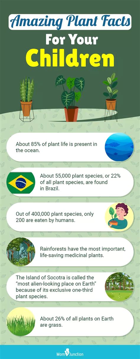 55 Interesting Facts And Information About Plants For Kids