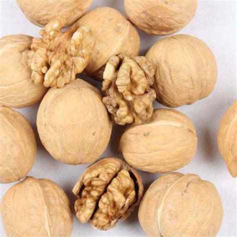 Белый Орех Фото – Telegraph