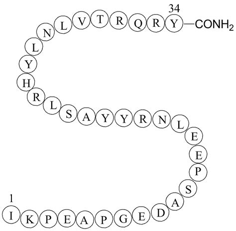 APExBIO - Peptide YY(3-36), PYY, human|Y2R agonist|CAS# 123583-37-9