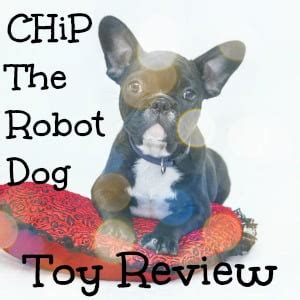 CHip the Robot Dog Review - Why Now is a Good Time to Buy Him