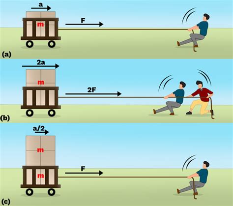 Newtons Second Law Of Motion Labster