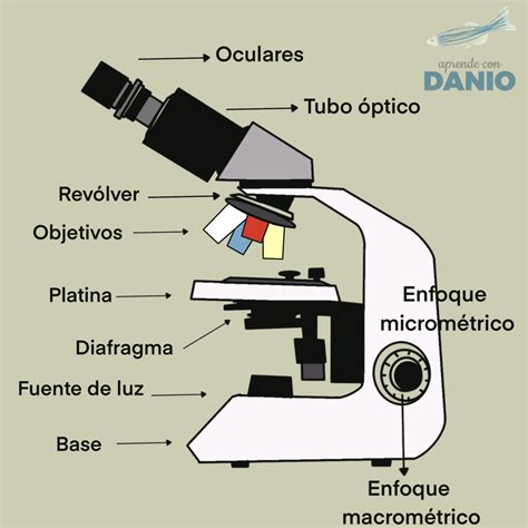 El Microscopio Aprende Con Danio