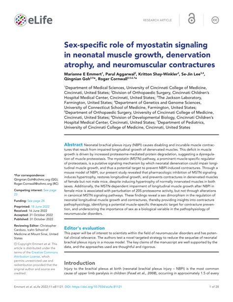 Pdf Sex Specific Role Of Myostatin Signaling In Neonatal Muscle