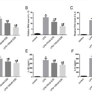 The Anti Inflammatory Effect Of EZE In LPS Induced Microglia A C