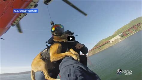 Coast Guard Dogs Complete Helicopter Training: Great Video