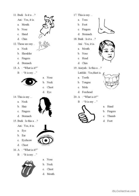 Body Parts Worksheet English Esl Worksheets Pdf And Doc