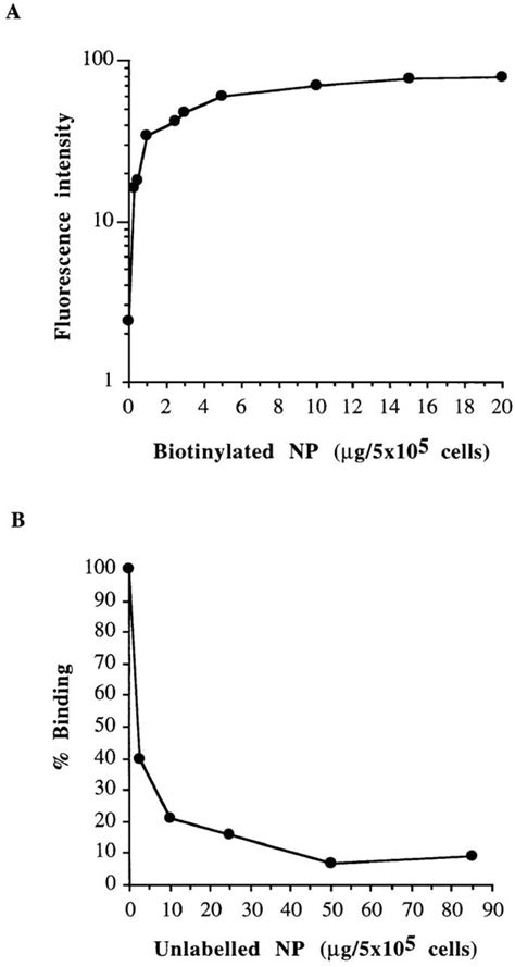 Specificity Of Np Fixation On Cl Cell Line A Dose Dependent