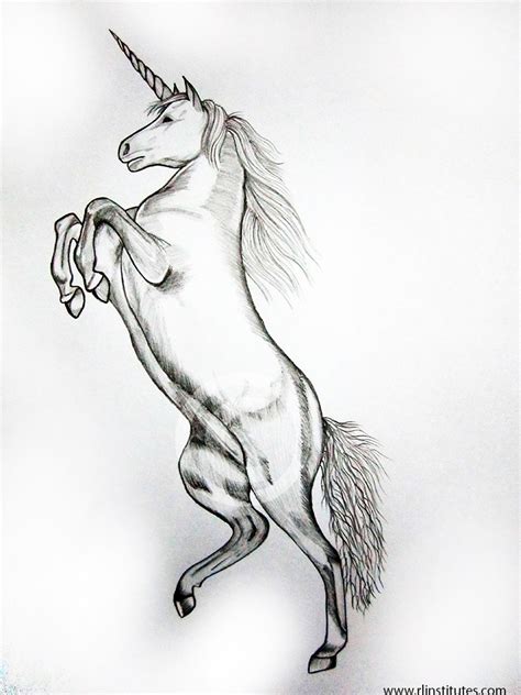 Unicorn Pencil Sketch