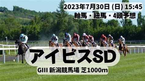 アイビスsd GⅢ 新潟競馬場 芝1000m｜カミフクロウのへや