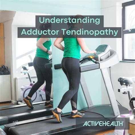 Adductor Tendinopathy Active Health Solutions 2024