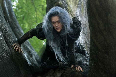 INTO THE WOODS Image with Meryl Streep as The Witch