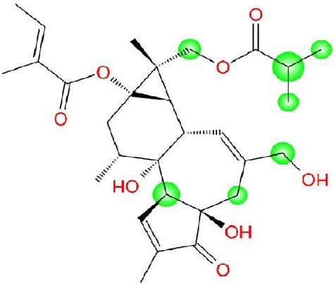 Intrinsic reactivities of a 12,13-phorbol ester against a 13,16-phorbol ...