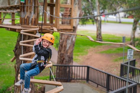 Treeclimb Kuitpo Party Lane