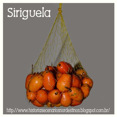Siriguela É Com C Ou Com S - Histórias e Cenários Nordestinos: Siriguela
