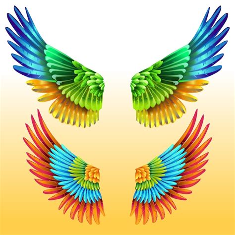 Premium Vector Colourful Wings