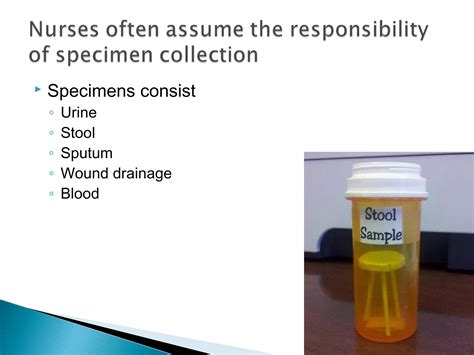 Specimen collection | PPT