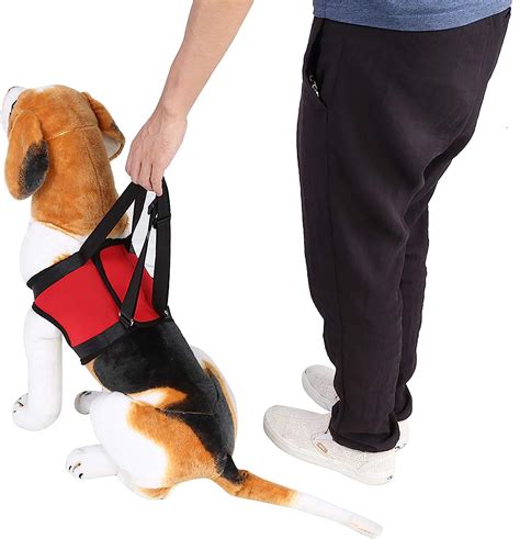 Imbracatura Di Supporto Per Cani Imbracatura Di Supporto Per Gambe Di