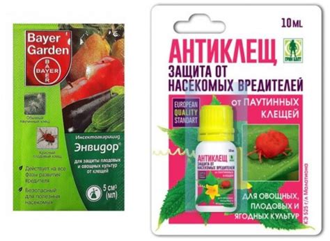 Паутинный клещ на смородине: фото, как избавиться, народные средства ...