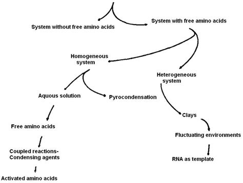 Models For Prebiotic Synthesis Of Polypeptides Download Scientific