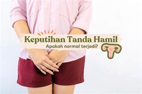 Keputihan Tanda Hamil Warna Tekstur And Volumenya