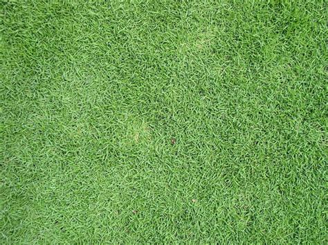 Types Of Grass Sod - Mississippi Sod | Sod Grass Delivery In Mississippi