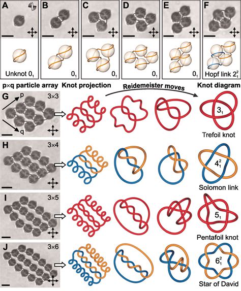 Reconfigurable Knots And Links In Chiral Nematic Colloids Science